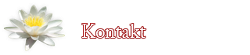 Kontakt